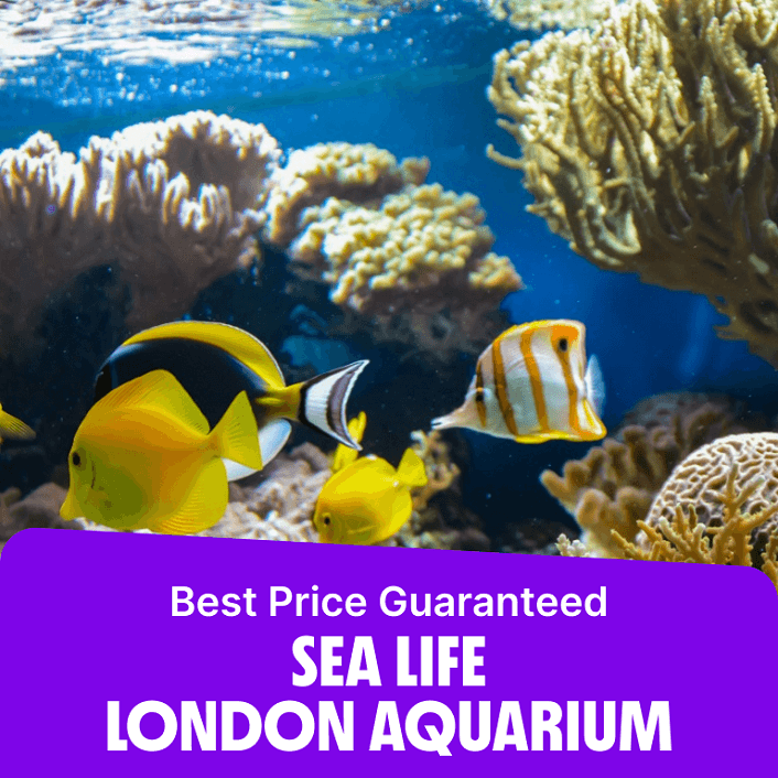 SEA LIFE London Aquarium - Entry Ticket  SEA LIFE London Aquarium