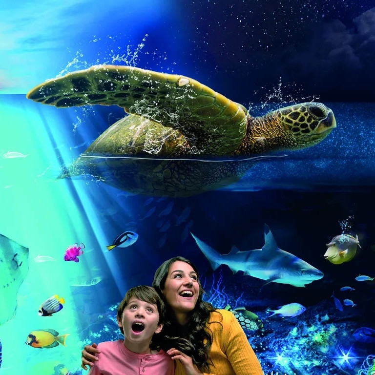 Sea Life Brighton  SEA LIFE Brighton