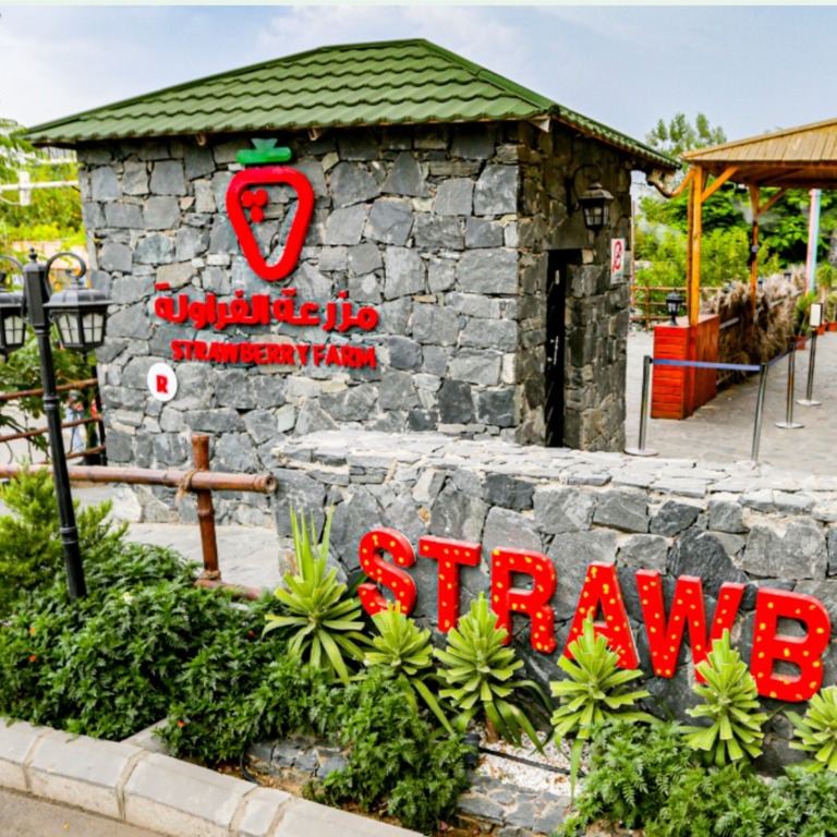 Strawberry Farm  Strawberry Farm
