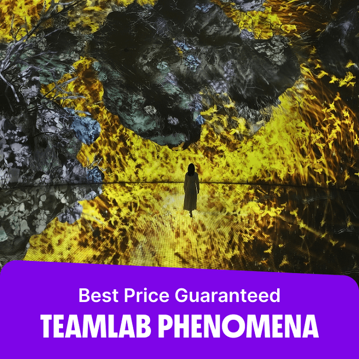 TeamLab Phenomena Abu Dhabi  TeamLab Phenomena