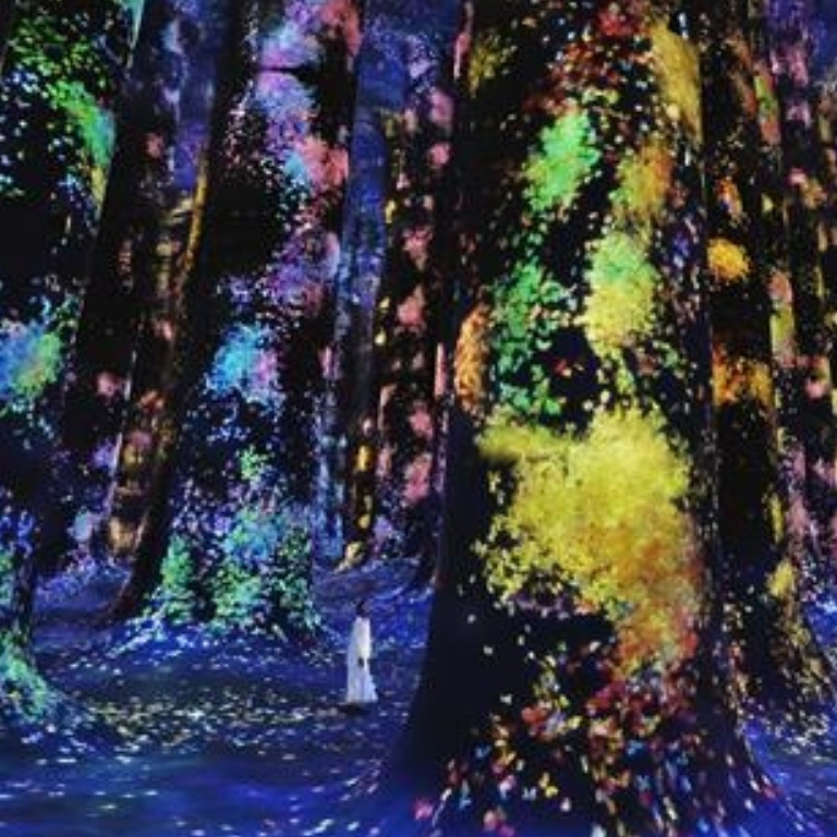 TeamLab Phenomena + Qasr Al Watan - Combo  TeamLab Phenomena