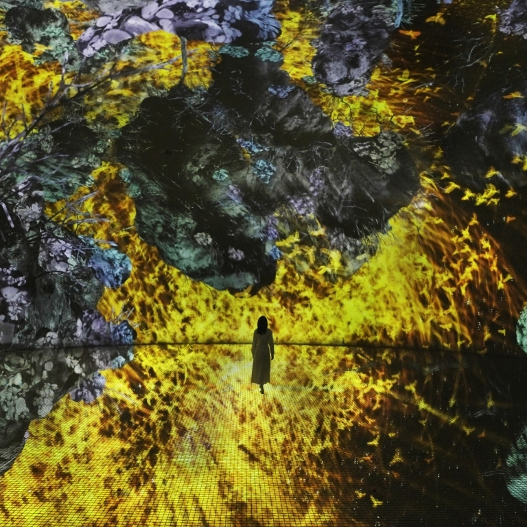 TeamLab Phenomena + Yas Waterworld - Combo  TeamLab Phenomena