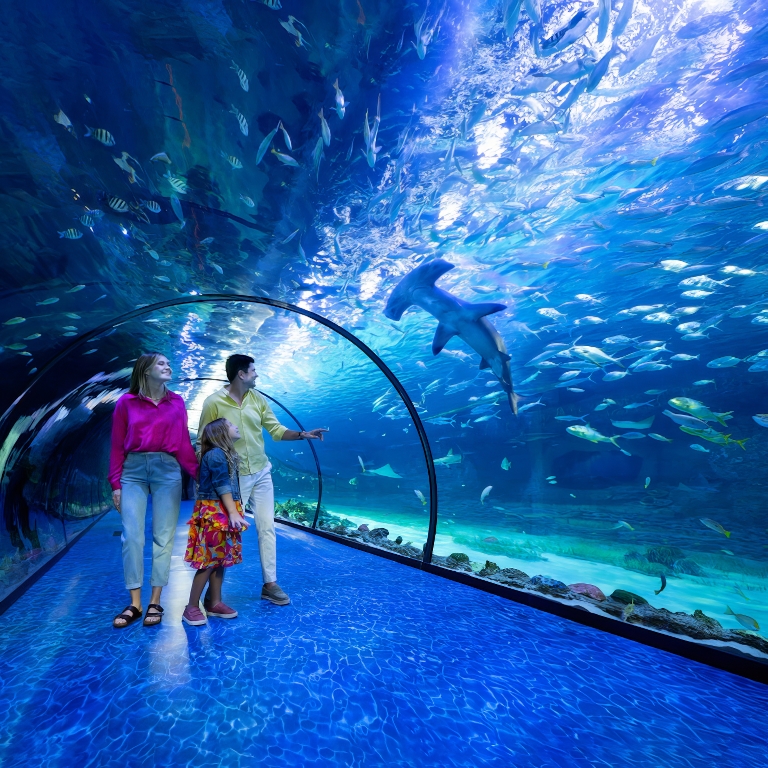 The National Aquarium Abu Dhabi  Al Qana