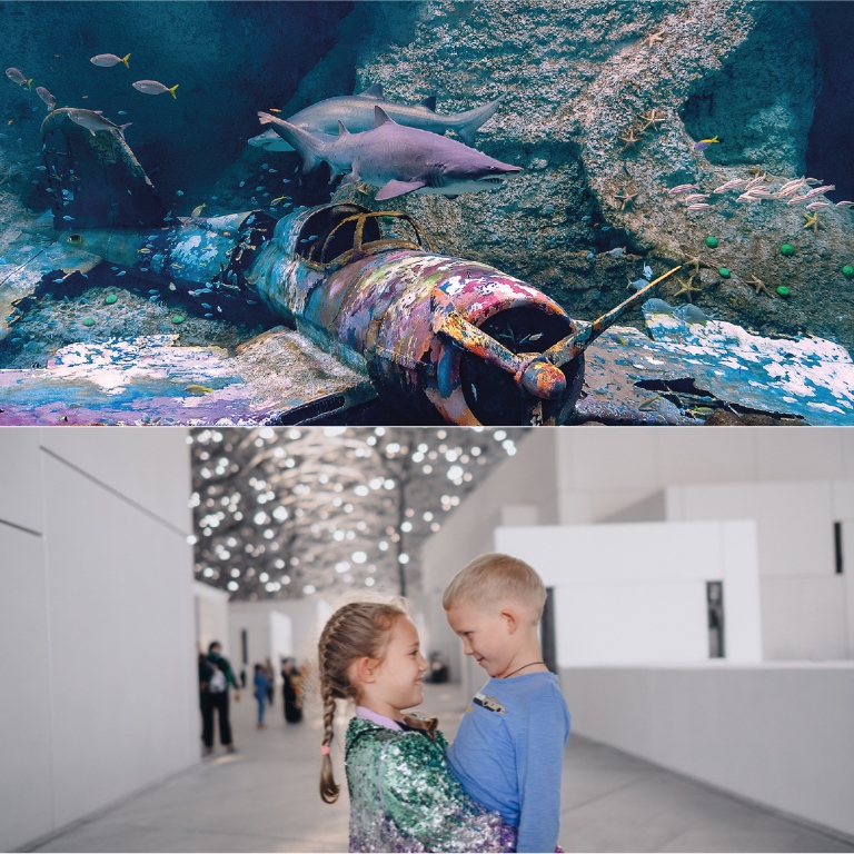 The National Aquarium + Louvre Abu Dhabi - Combo  Al Qana