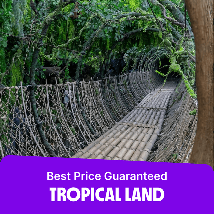 Tropical Land  TROPICALLAND