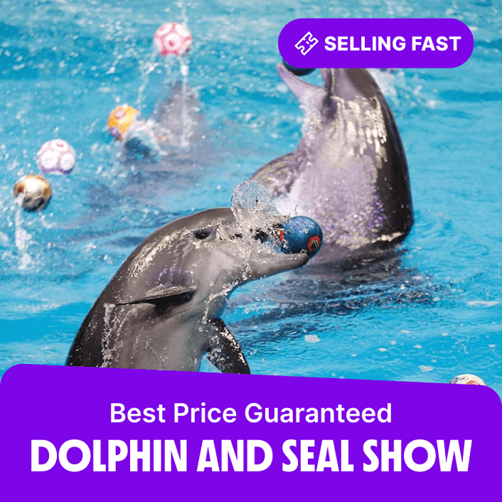 dolphinarium  Dubai Dolphinarium