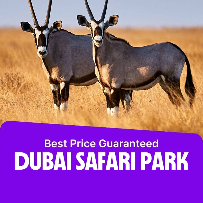 Dubai Safari Park  Dubai Safari Park