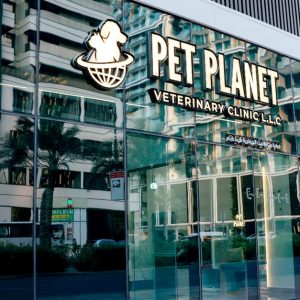 Full Grooming For Cat Or Small Dog, Medium Or Large Dog PETS Shop Online at Special Price from UAE Mega Deals