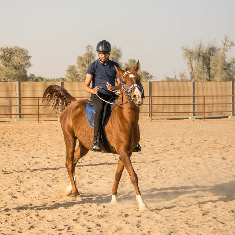 Horse Riding At Mleiha Arena  Mleiha Archaeological Centre
