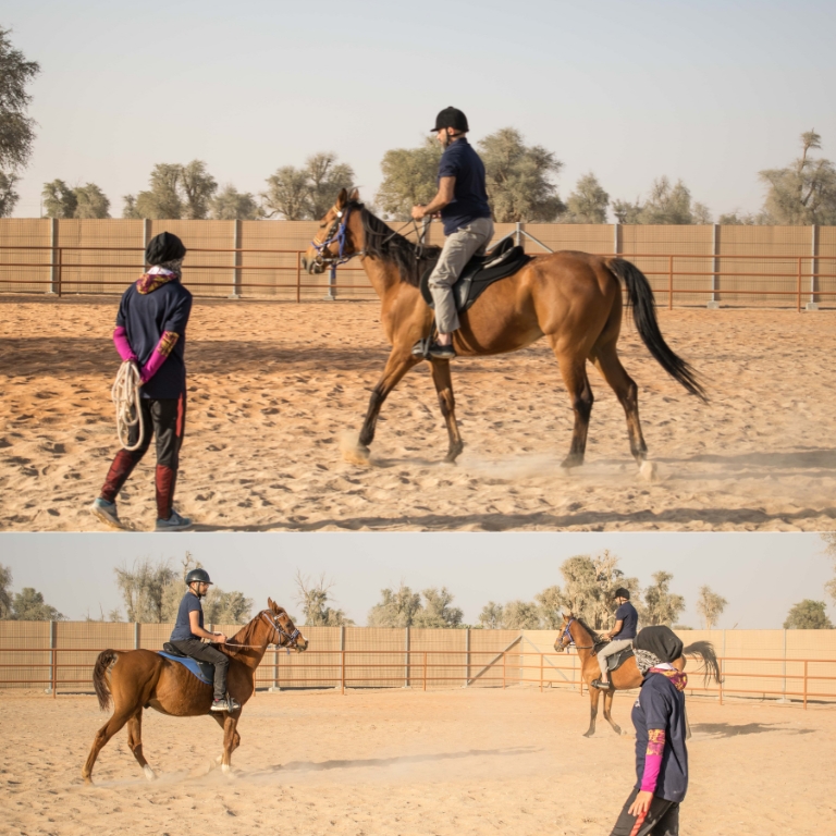 Horse Riding Training Course One Session  Mleiha Archaeological Centre