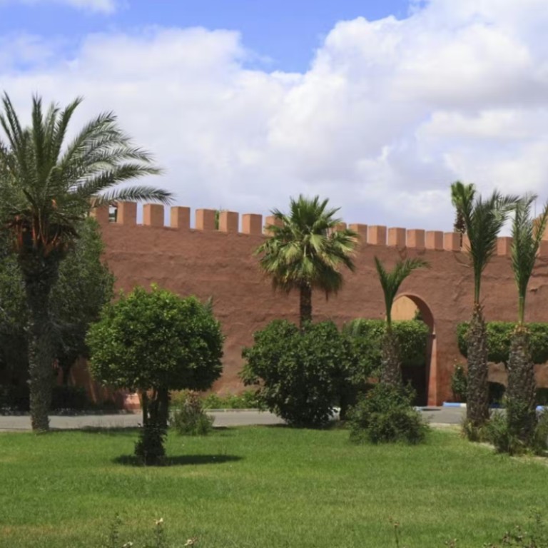 Marrakesh: Jardin Majorelle Guided Tour and Transfers  72 Rue des Banques