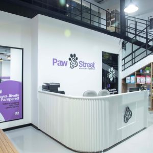Buy Professional Dog & Cat Grooming For All Sizes Mega Deals Now at Special Price in UAEMegaDeals.com Professional Dog & Cat Grooming For All Sizes PETS Shop Online at Special Price from UAE Mega Deals