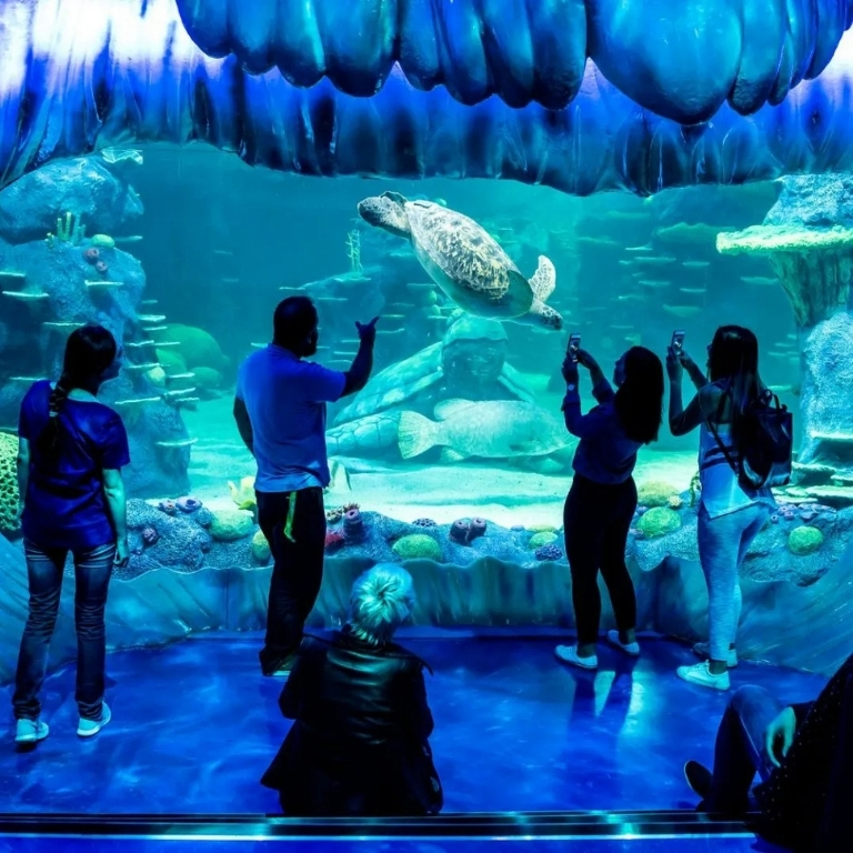 Aquarium de Paris: Entry Ticket  Aquarium de Paris
