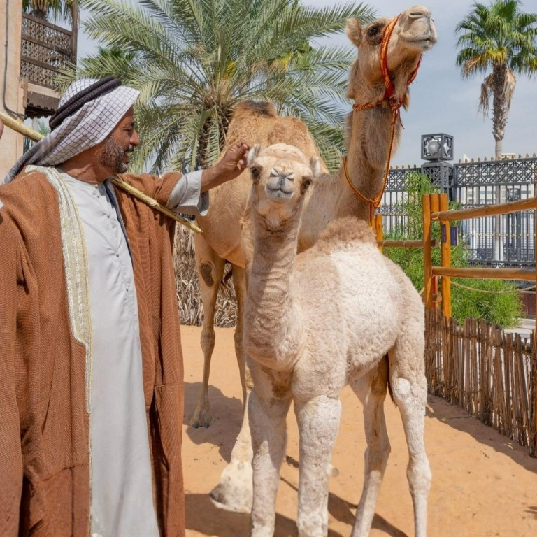 Emirati Hospitality Experience (Breakfast)  Sheikh Mohammed Centre For Cultural Understanding