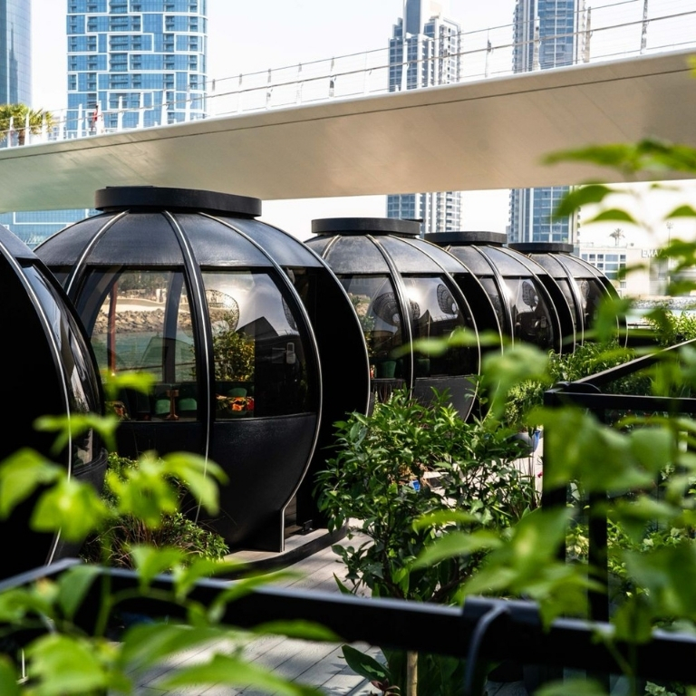 Exclusive 2-Course Festive Brunch - The Pods  The Pods