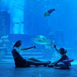 Explore The Lost World Aquarium – Entry For Kids, Adults & Families PARKS Shop Online at Special Price from UAE Mega Deals