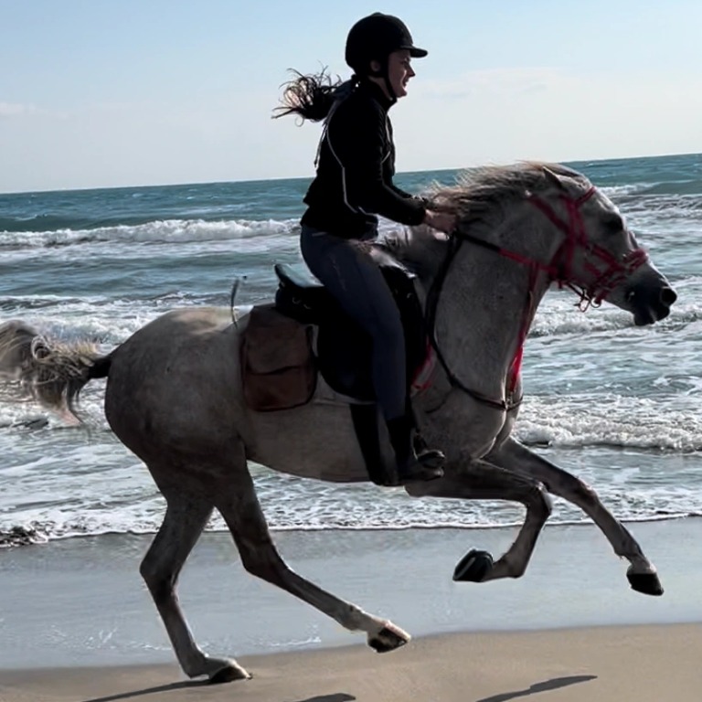 Horse Riding at Shahaniya - Qool Qatar  Shahaniya