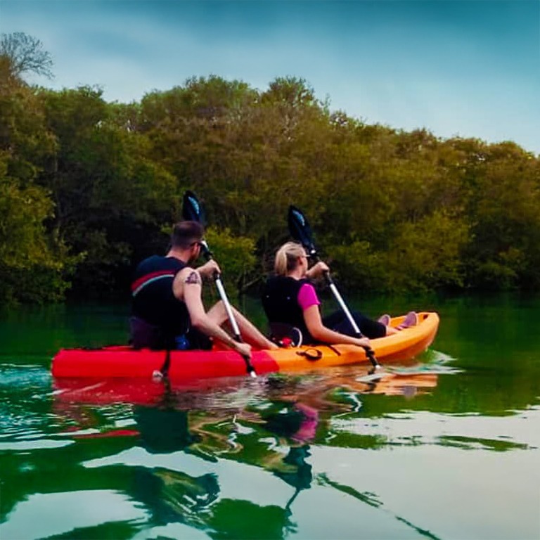 Mangroves Kayaking at Purple Island - Qool Qatar  Purple Island