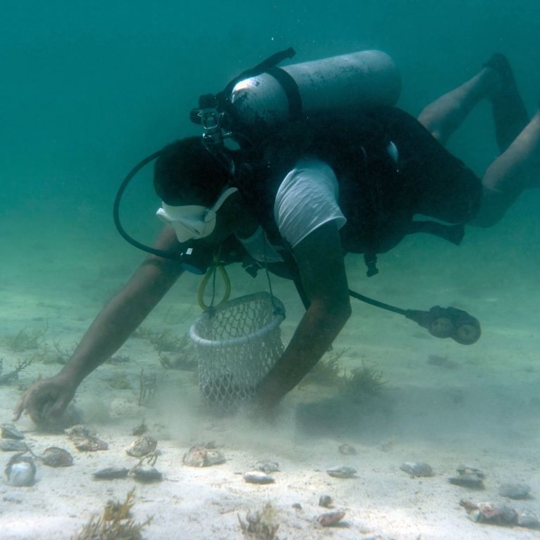 Pearl Diving  Bu Maher Fort