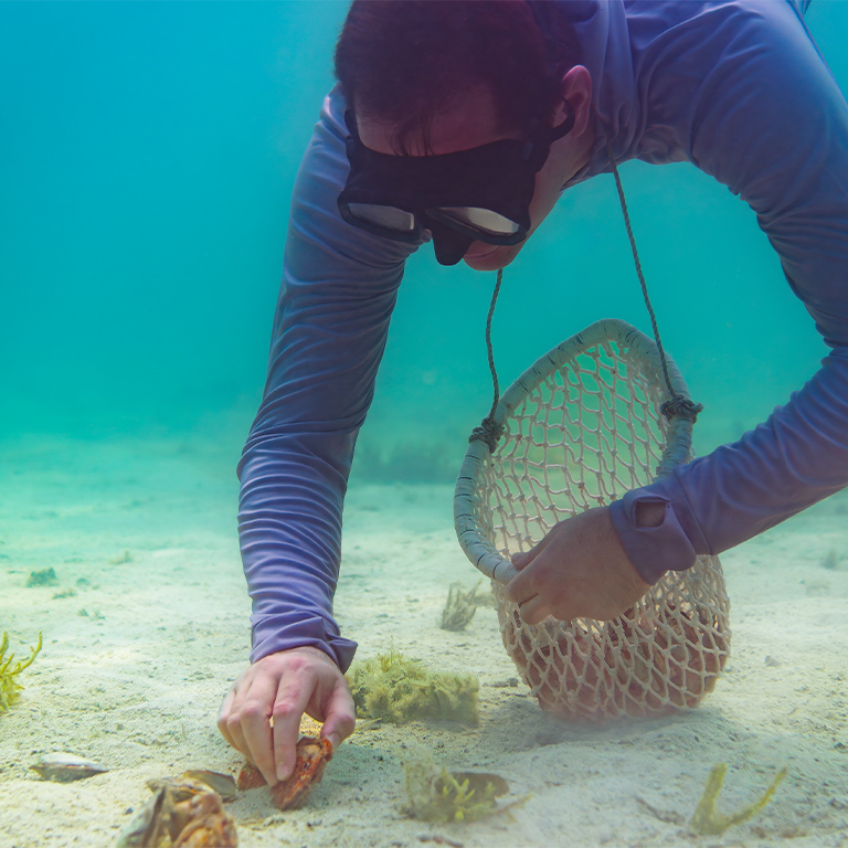 Pearl Snorkeling  Bu Maher Fort