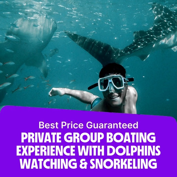 Private group Boating Experience with Dolphins Watching & Snorkeling  Marina Bandar Al Rowdha