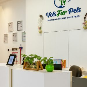 Buy Professional Pet Grooming For Cats, Medium Or Large Dogs Mega Deals Now at Special Price in UAEMegaDeals.com Professional Pet Grooming For Cats, Medium Or Large Dogs PETS Shop Online at Special Price from UAE Mega Deals