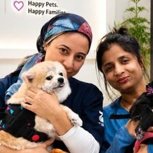 Buy Professional Pet Styling And Comprehensive Hygiene Sessions Mega Deals Now at Special Price in UAEMegaDeals.com Professional Pet Styling And Comprehensive Hygiene Sessions PETS Shop Online at Special Price from UAE Mega Deals
