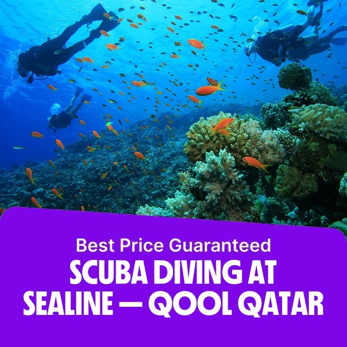 Scuba Diving at Sealine - Qool Qatar  Sealine Qatar