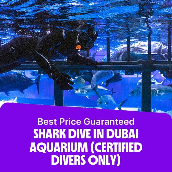Shark Dive in Dubai Aquarium (Certified Divers Only)  Dubai Mall