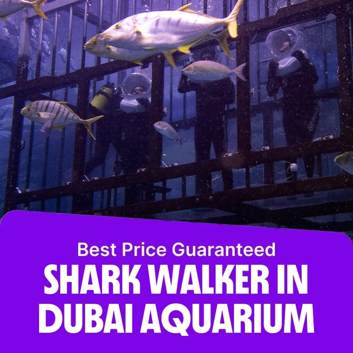 Shark Walker in Dubai Aquarium  Dubai Mall