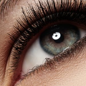 Buy Up To 33% Off On At Nail Blitz Dmcc Mega Deals Now at Special Price in UAEMegaDeals.com Up To 33% Off On At Nail Blitz Dmcc FACIAL TREATMENTS Shop Online at Special Price from UAE Mega Deals
